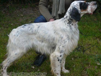 Du Miroir Des Brunes Heliot